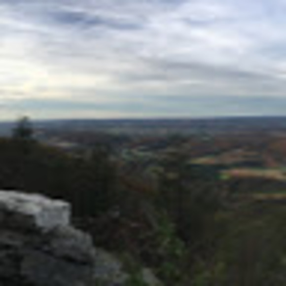 Meet your Posher, Ryan - Picture 1 of 1